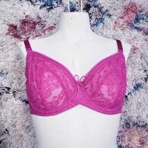 Evolove Hot Pink Lace Unpadded Underwire Bra 30F 30DDD Boudoir Lingerie …